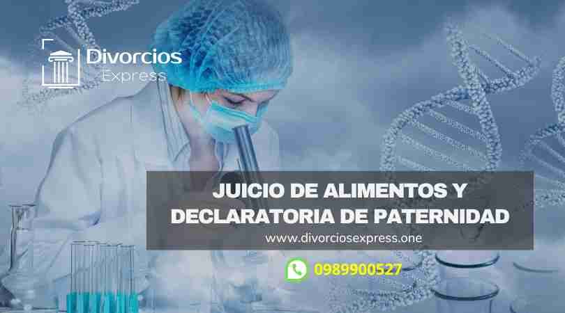 Juicio de Alimentos y Declaratoria de Paternidad.